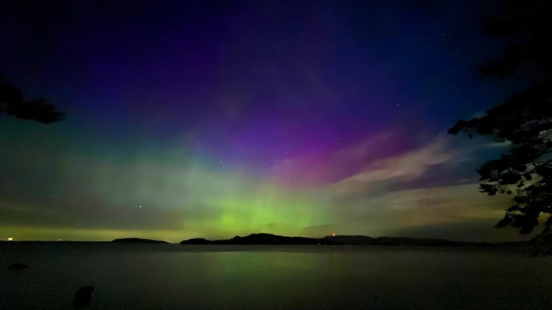Auroral skies from Alex's home in the San Juan Islands,August 2023. Photo by Alex Shapiro.